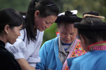东方医学 06 森林里的珍贵药材